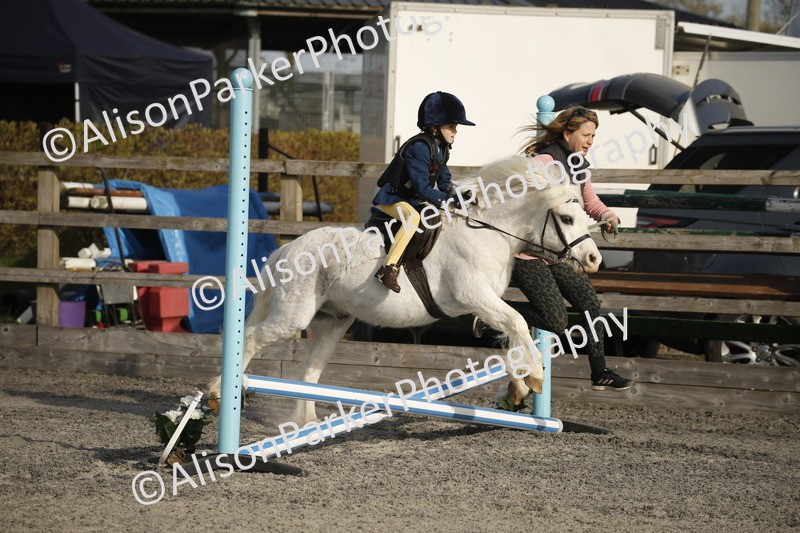 20250412-0034 - Clear Round