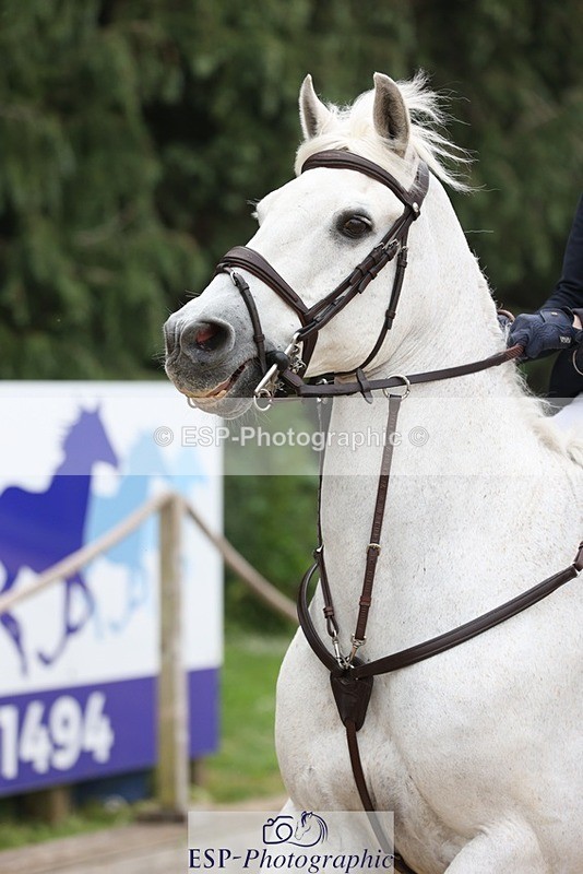 230618-091448-09534 - Cls 19 Pony Intro 1m