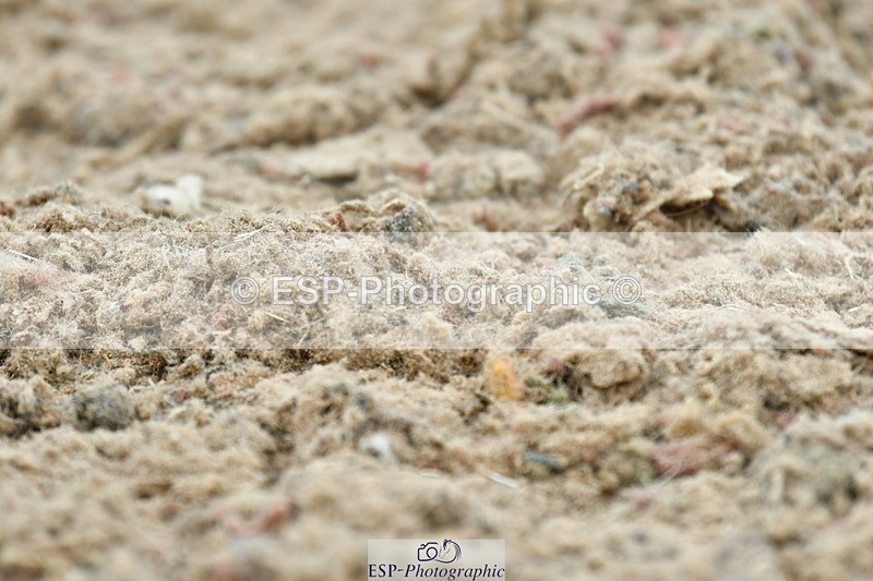 230630A-123057-01566 - Cls 5 Novice 37A