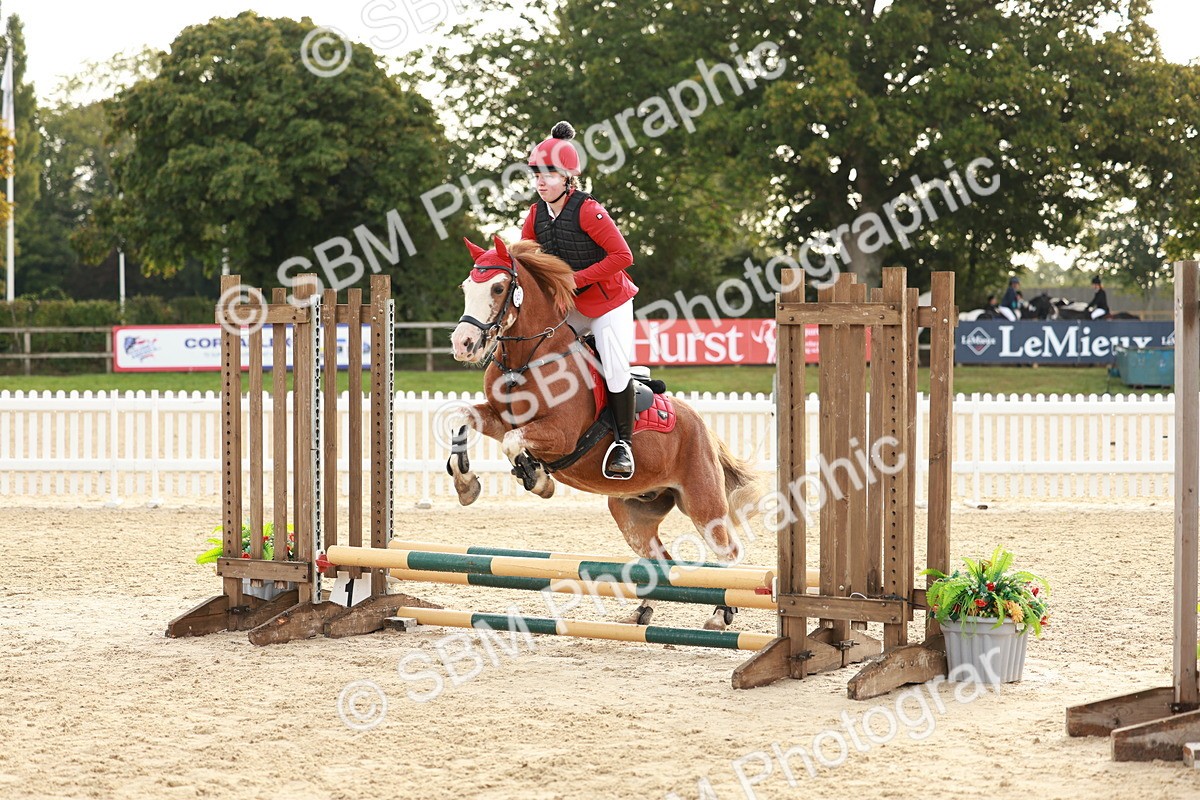 SBM_55622 - J11 - Junior Pony 50cm Championship