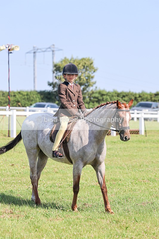 IMG_1916 - Class 33: Show Pony 148cm and under