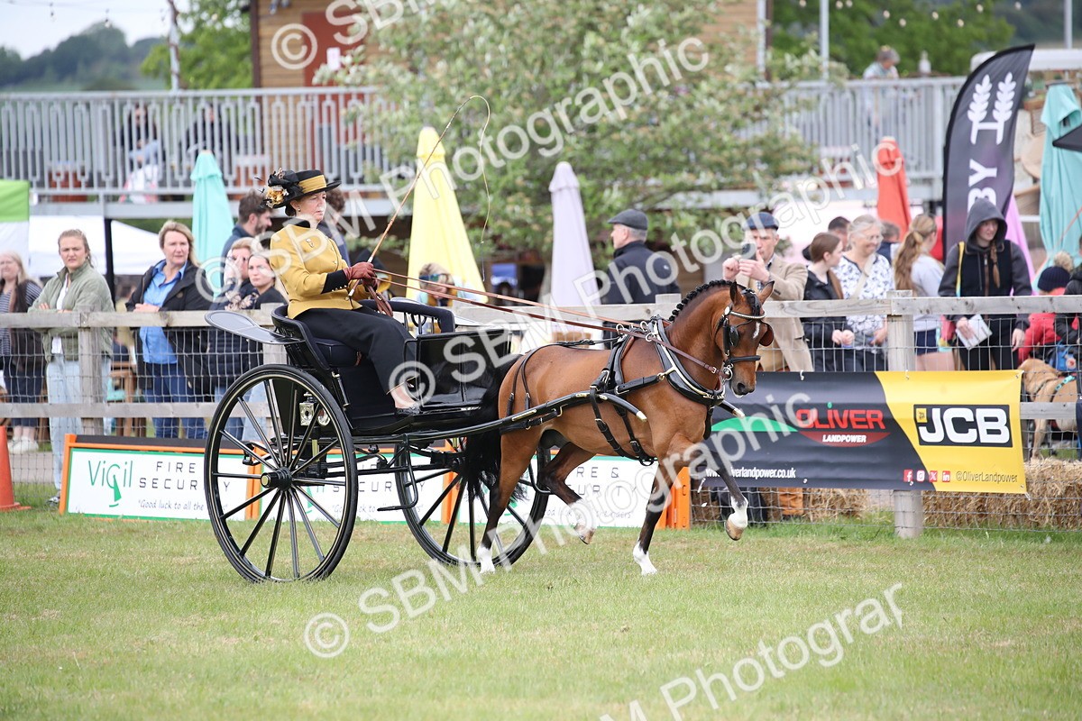 SBM_05822 - Class 12-15 - HOYS Private Driving