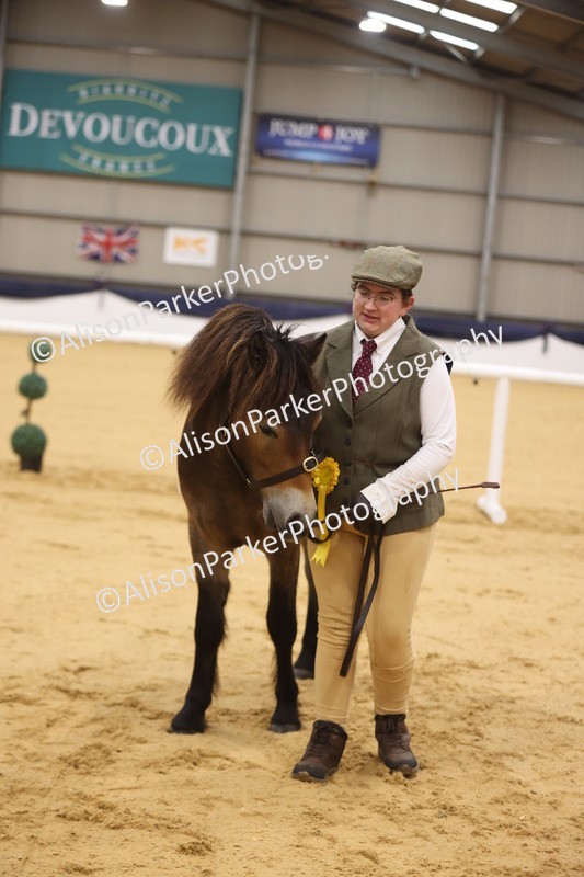 20260913-1076 - Class 109 - Bred On Exmoor In Hand