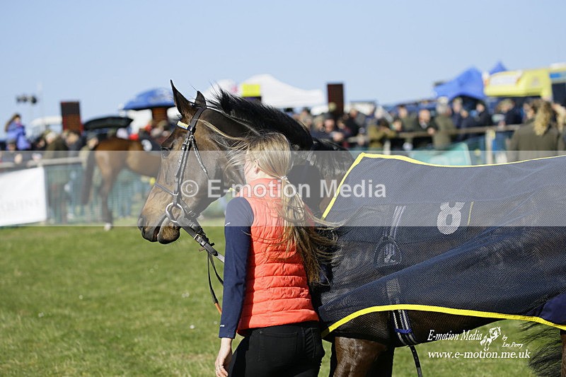 PtP 190322 648 - Wilton Hunt PtP Milborne St Andrew 19/03/22