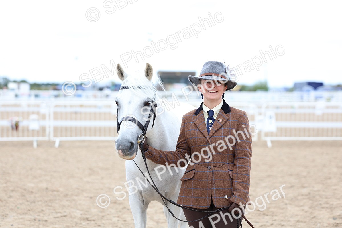 SBM_05078 - Class 27 - IH Competition Horse or Pony