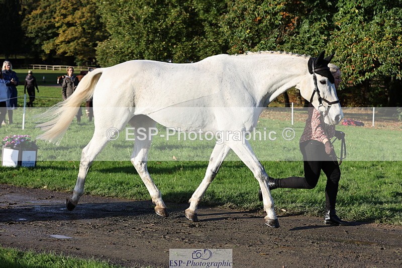 251026A-094645-22472 - D-318-Caroline.Allan