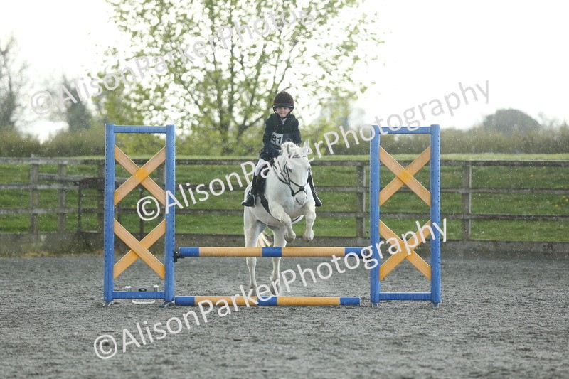 20260412-1936 - Show Jumping
