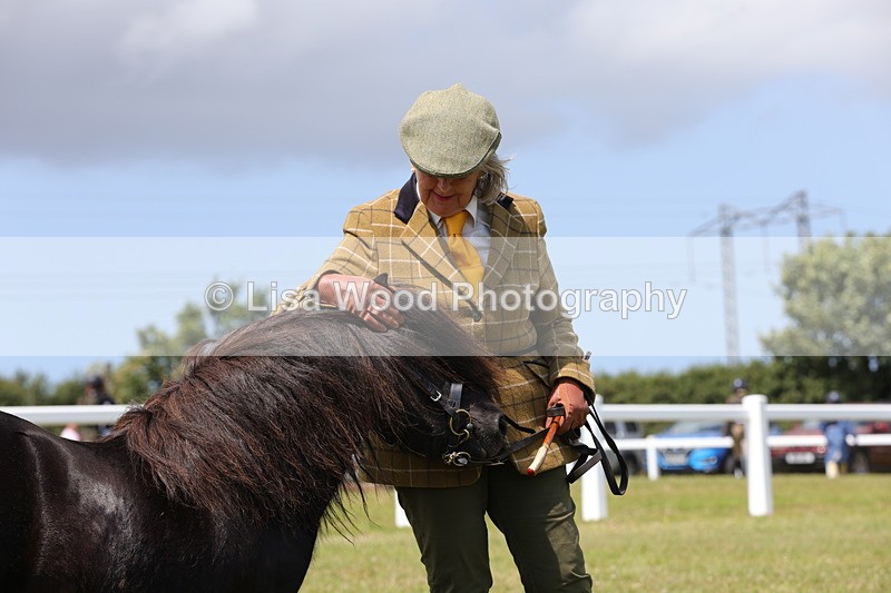 1X9A4853 - Class 35: Veteran In Hand