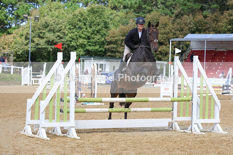 3E7A9119 - Class 9: Senior British Novice/90cm open