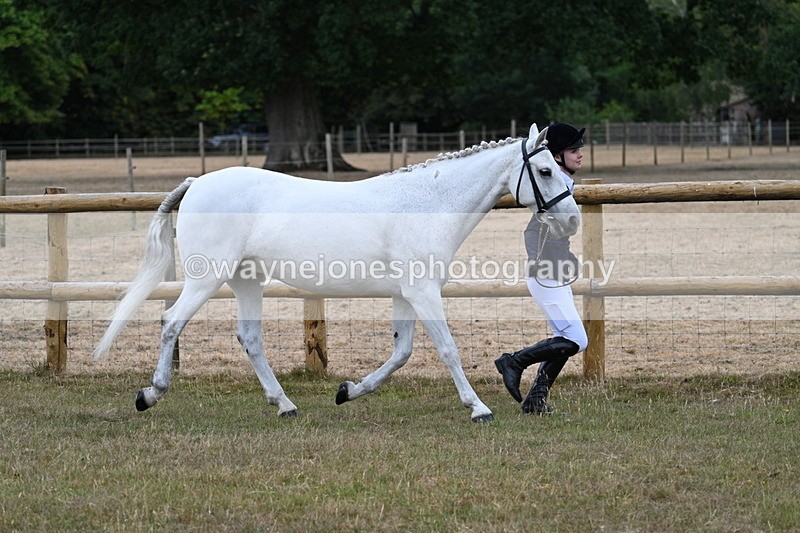 WJ7_8821 - Class 4a Prettiest Mare 14.2hh and over