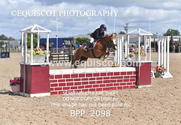 BPP_2098 - DERBY CLASS 6 - 70CM