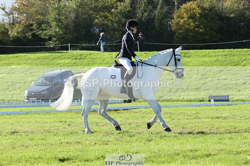 251024A-144055-14091 - F-479-Poppy.Wellman