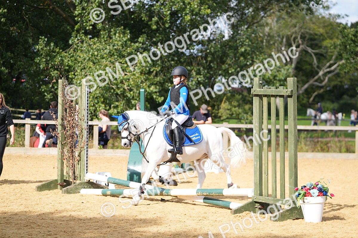SBM_64426 - J2 - Mini Tour Junior Pony 30cm Championship