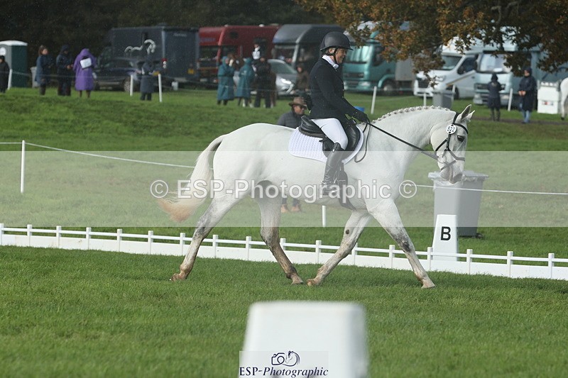 251023A-143640-04997 - G-522-Sue.Parkes Inc Trot Up