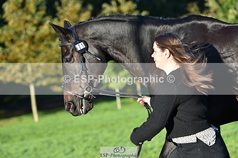 231022-091244-21622 - 671-KILCLOGHER.DAWSON-Lucy.Griffiths-TrotUp+SJ