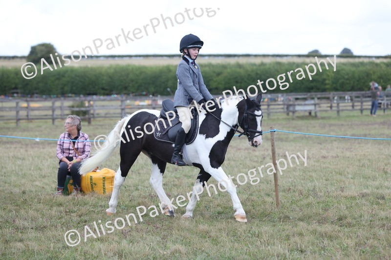 20250831-4212 - Class 20 - Ridden Coloured