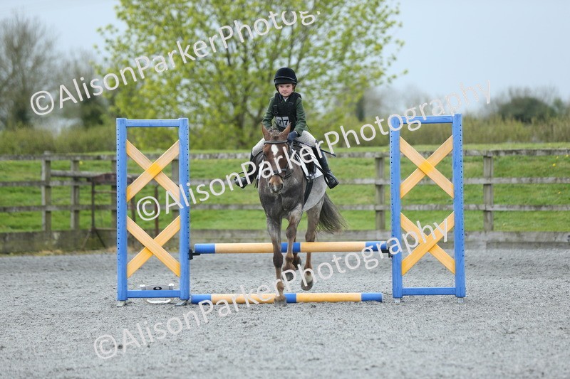 20260412-1857 - Show Jumping