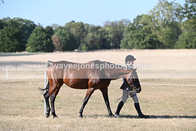 WJ6_9566 - Championship (Class's 40-44)