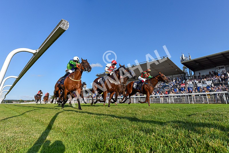 200726-Race 2-Opal Storm-3544 - Race 2 19.00pm Happy Birthday Katie Exon Handicap