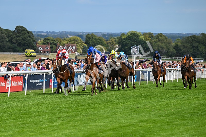 300826-Race 4-Financer-0502 - Race 4 3.20pm Ward Homes Yorkshire Handicap