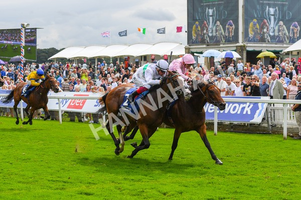 240823-Race 4-Warm Heart-0535 - Race 4 3.35pm Pertemps Network Yorkshire Oaks