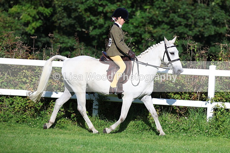 3E7A7576 - Class 1: Novice Working Hunter Pony