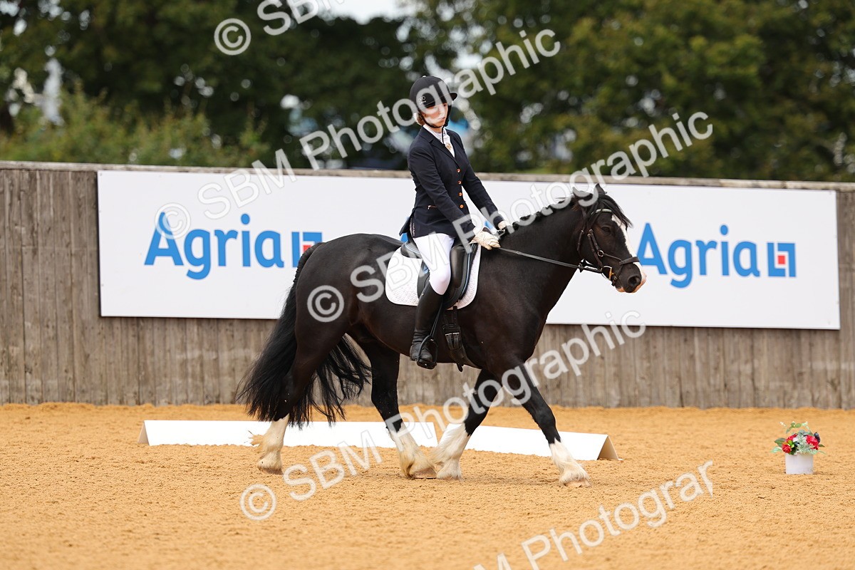 SBM_44001 - D22 - Junior Championship - Intro B