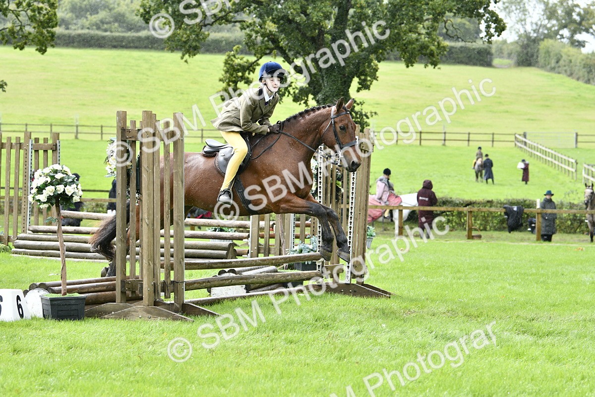 SBM_41417 - S32 - Mountain & Moorland Working Hunter Pony