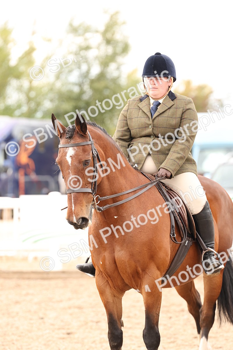 SBM_16512 - Class 212 - Ridden Hunter - Small