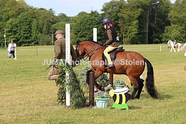 IMG_2179 - Working Hunter