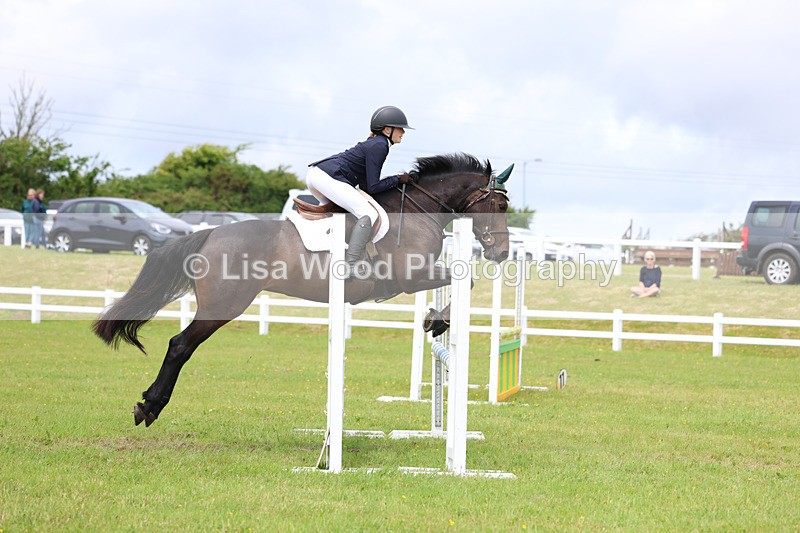 3E7A7199 - Class 13: Senior British Novice/90cm open