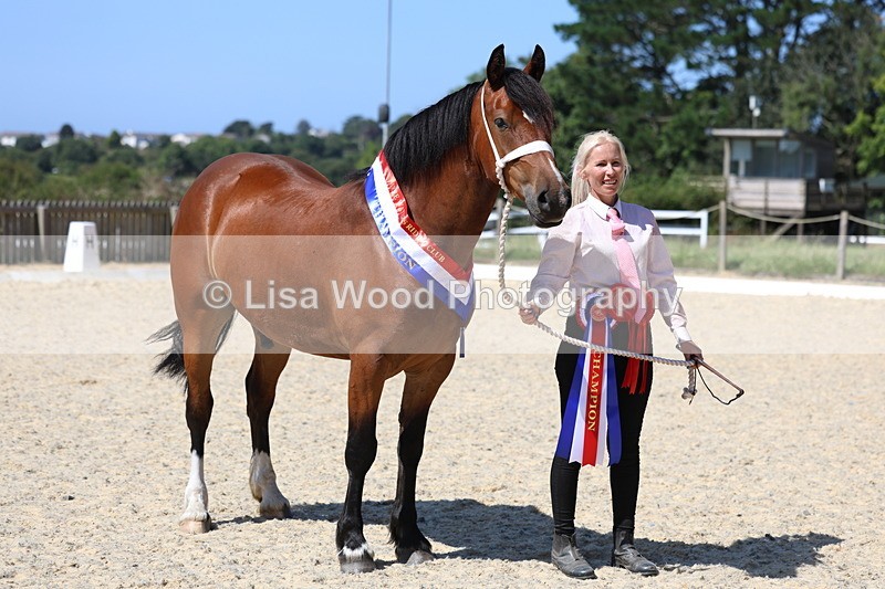 3E7A9957 - In Hand Championship