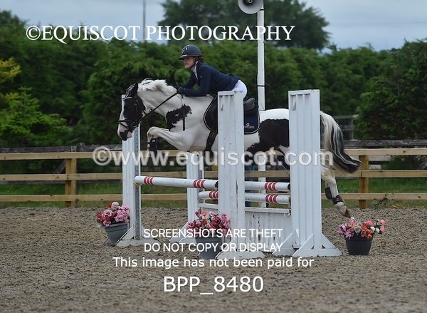 BPP_8480 - CLASS 2 Pony British Novice 2ND ROUND