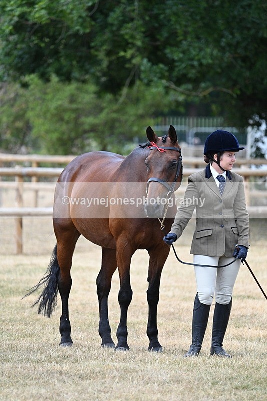 WJ7_1837 - Class 4a Prettiest Mare 14.2hh and over hand