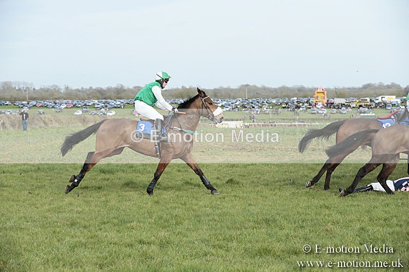 PtP 230319 446 - VWH Hunt Siddington Point-to-Point Racing 23/03/19