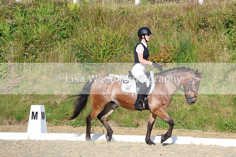 3E7A3614 - Class 2: Intro 1 2024 Section B