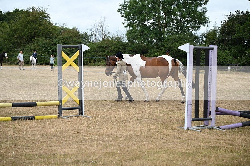 WJ6_8164 - Class 10 Coloured in Hand