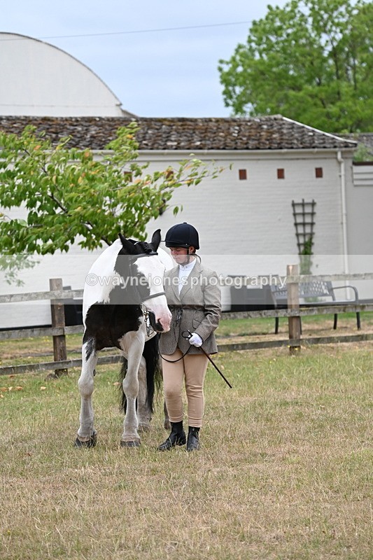 WJ6_8334 - Class 10 Coloured in Hand
