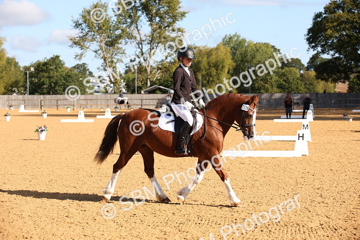 SBM_01905 - D2 Small Tour Championship Intro C