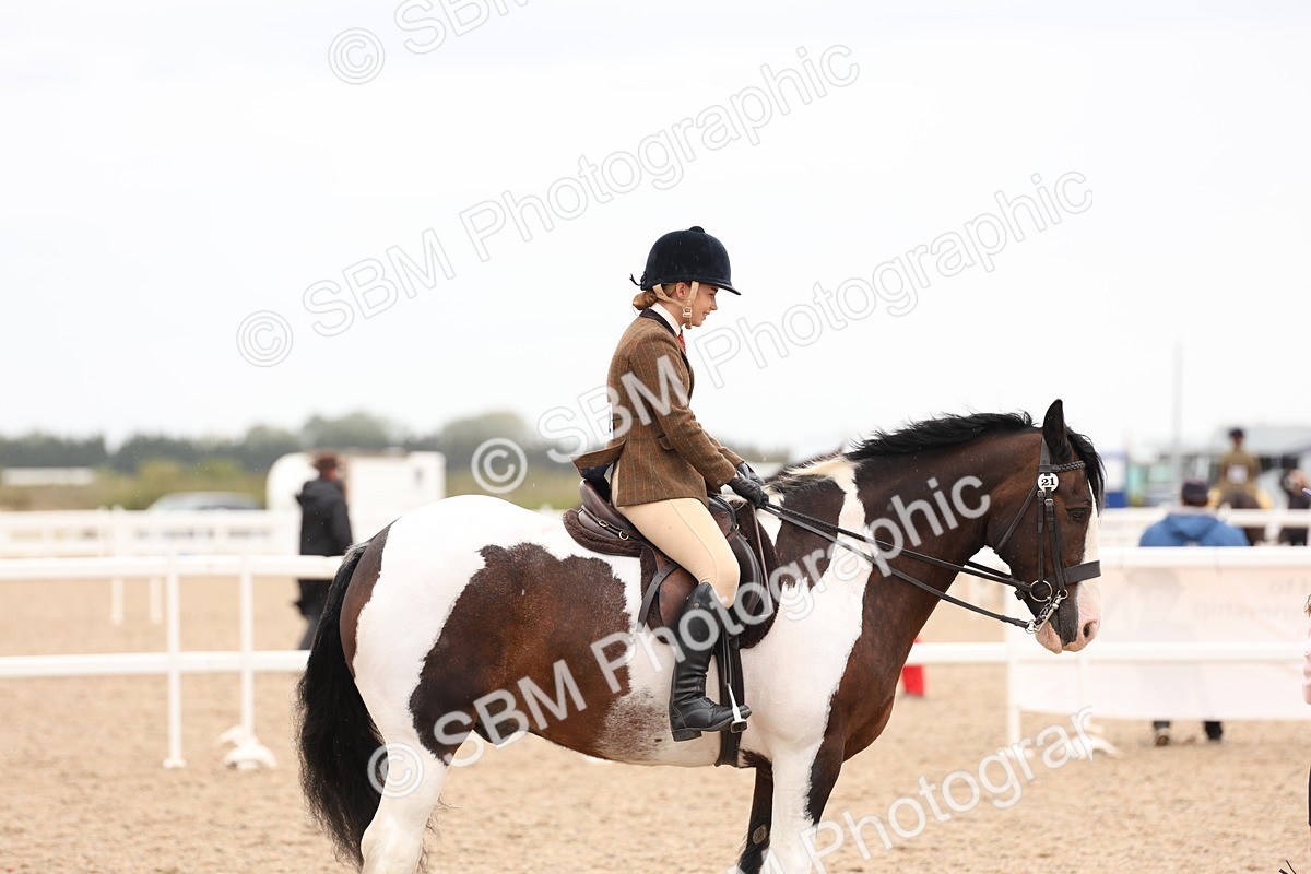 SBM_19717 - Class 216 - Ridden Traditional - Native Cob