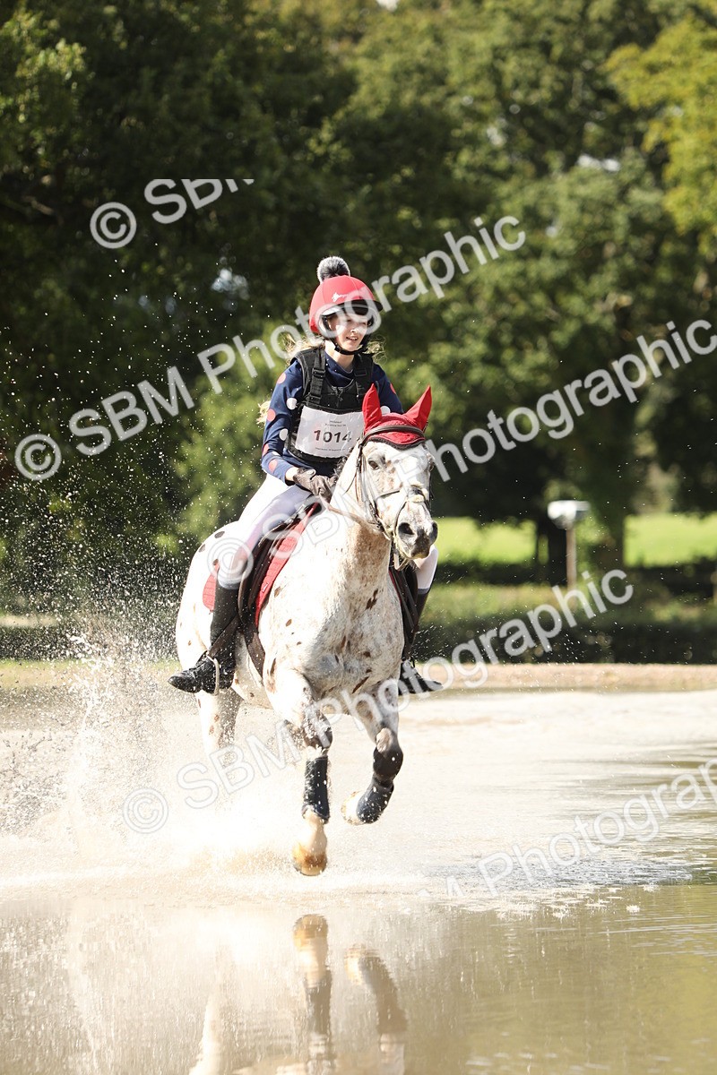 SBM_07852 - E4 Eventers Challenge 80cm Open