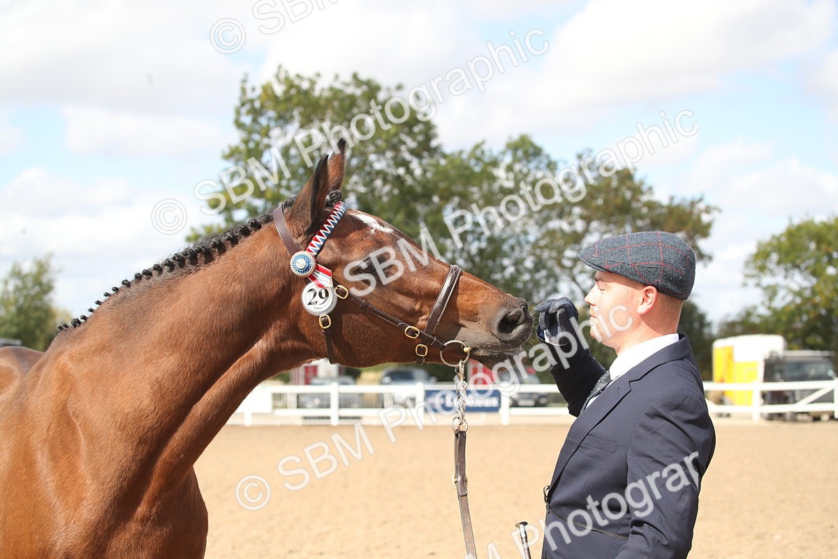 SBM_23456 - Class 604 - 2026 - Area IH Diamond