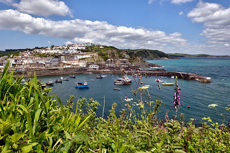 View of Mevagissey from the Coast Path