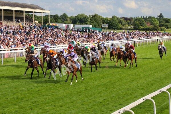 yr11062022r8-46 - Race 8 5.25pm Clean up with PPS Stakes