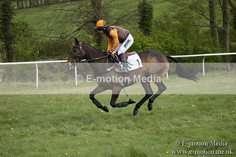 PtP 170417 150 - Old Berks Point-to-Point Lockinge 17/04/17