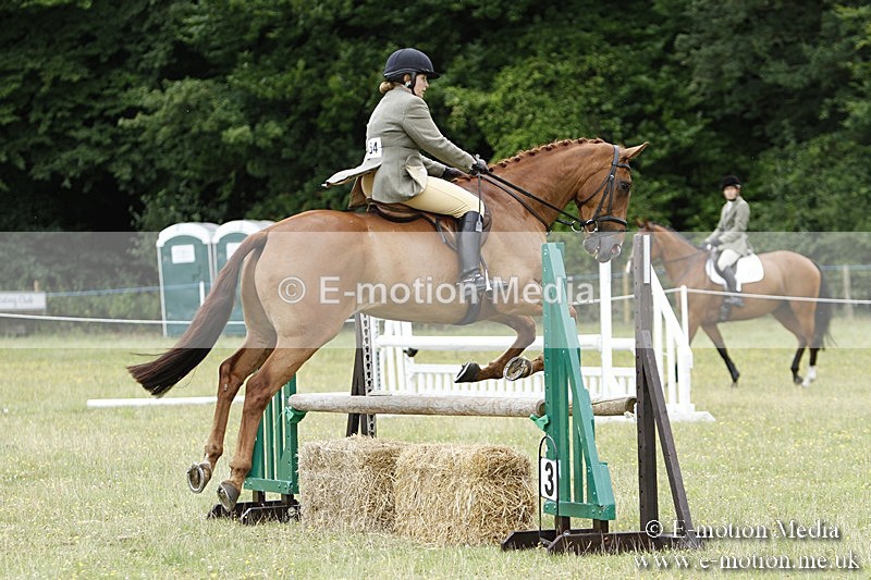 BVR160717-1710 - Ring 3 BVRC Show 16/07/17