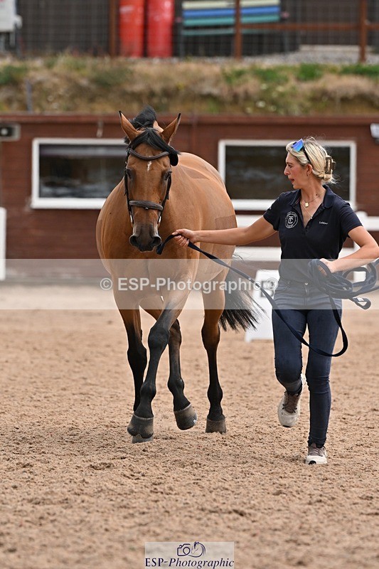 250716-145220-01461 - Trot Up 2.30 to 3.30