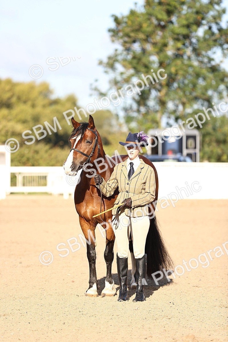SBM_08433