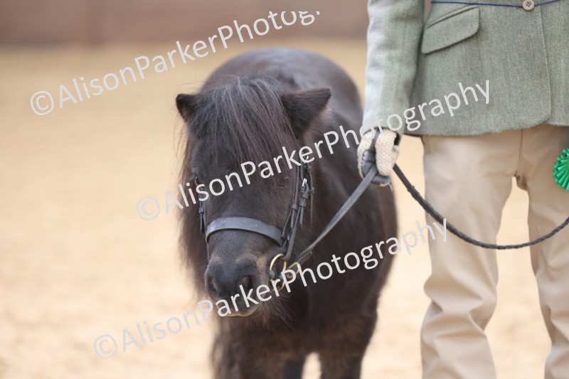 20251109-0359 - Class 13 - Mares 4 Years and Over