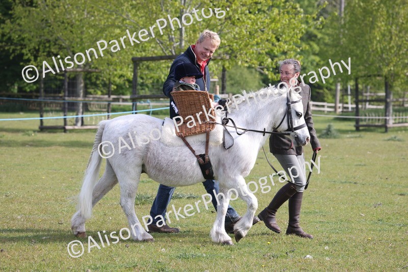 20260426-0258 - Class 30 - Tiny Tots Lead Rein